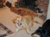 bailey-0009-fenway-play-5-600.JPG (71348 bytes)