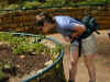 ct-kirstenbosch-aroma-garden-kristen-600.jpg (118916 bytes)