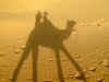 in-pow-jsm-sam-camel-shadow-3-600.jpg (65705 bytes)
